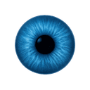 Blue Photography Logo